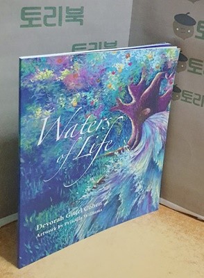 Waters of Life: Devotional Art Book - Paperback