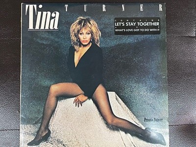 [LP] 티나 터너 - Tina Turner - Private Dancer LP [오아시스-라이센스반]