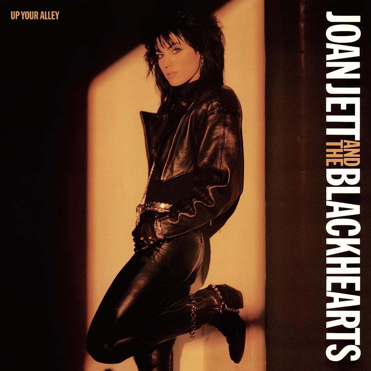 Joan Jett &amp; the Blackhearts (조안 제트 앤 블랙하트) - Up Your Alley [LP]