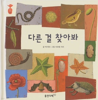 다른 걸 찾아봐 (첫지식그림책 콩알, 15 - 생각이 크는 창의)