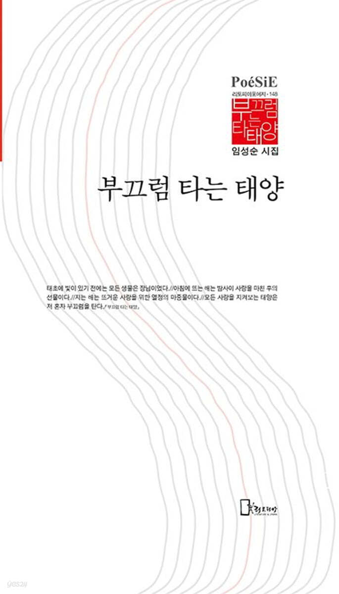 부끄럼 타는 태양