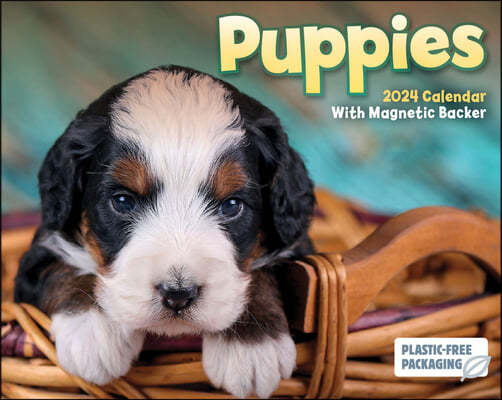 Puppies Mini Box Calendar 2024