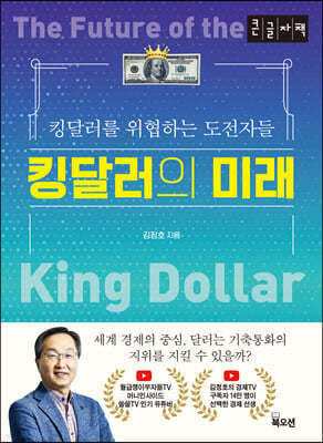 킹달러의 미래 (큰글자책)