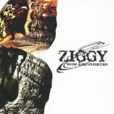 Ziggy / Now And Forever ()