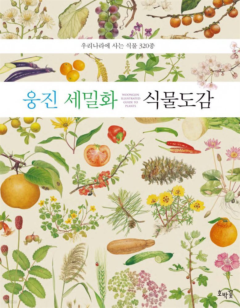 웅진 세밀화 식물 도감 (보급판)