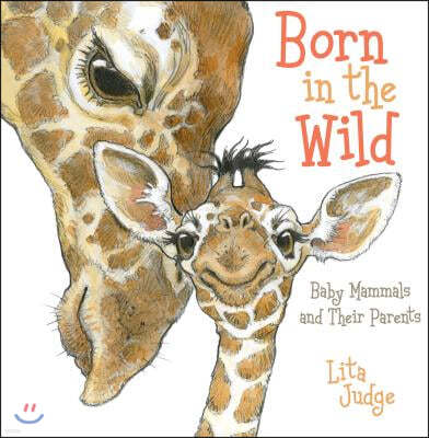 Born in the Wild: Baby Mammals and Their Parents