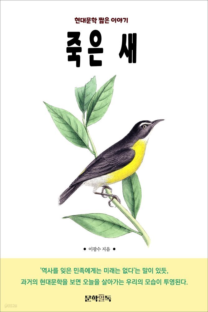 죽은 새