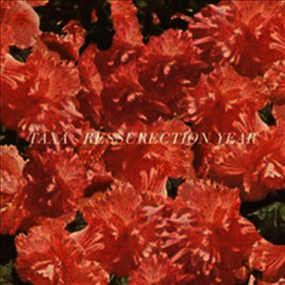 Taxa - Resurrection Year (7inch Single LP)