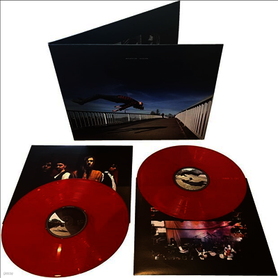 Porcupine Tree — Coma Coda (Gatefold) 앨범 커버