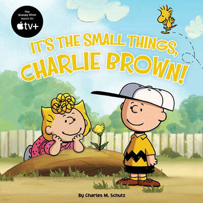 It's the Small Things, Charlie Brown!