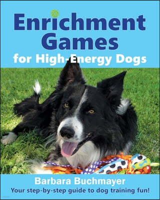 Enrichment Games for High-Energy Dogs: Your step-by-step guide to dog training fun!