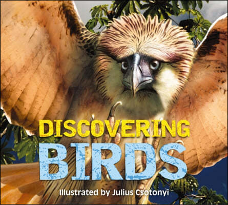Discovering Birds: The Ultimate Handbook to the Birds of the World