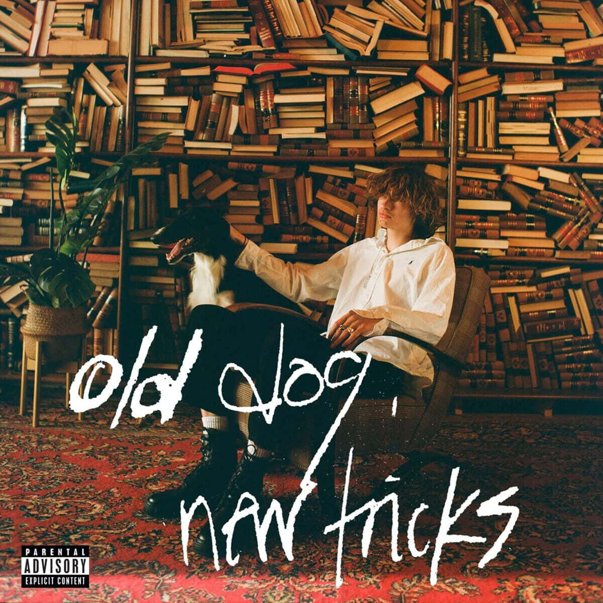 Glaive (글레이브) - Old Dog, New Tricks [LP]