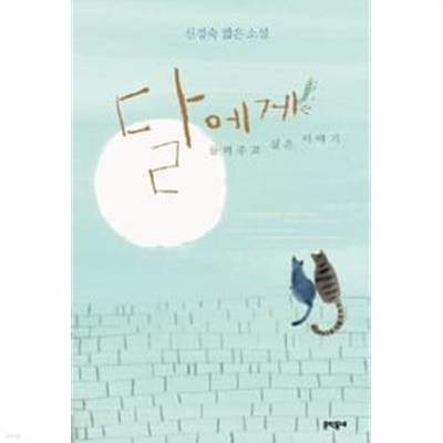 (상급) 신경숙 짧은 소설 달에게 들려주고 싶은 이야기