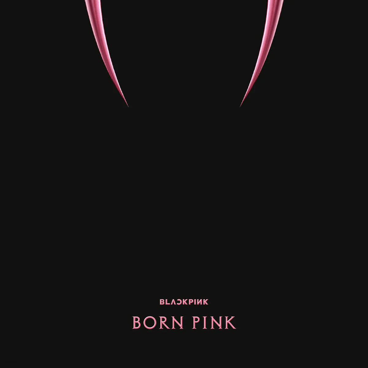 블랙핑크 (BLACKPINK) - 2집 Born Pink [블랙 아이스 컬러 LP]