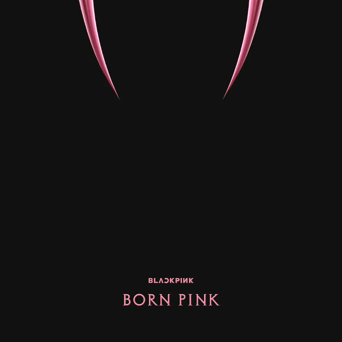 블랙핑크 (BLACKPINK) - 2집 Born Pink [블랙 아이스 컬러 LP]