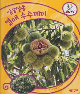 알쏭달쏭 열매 수수께끼 (푸른달 자연관찰, 02 - 열매)