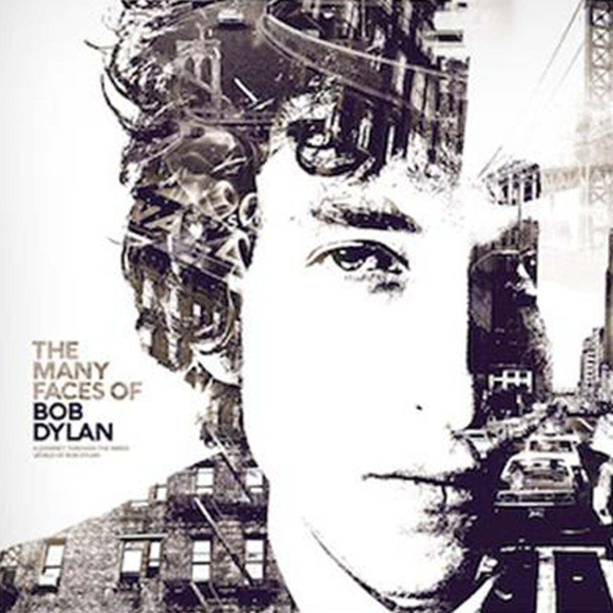 밥 딜런 모음집 (The Many Faces Of Bob Dylan) [화이트 컬러 2LP]