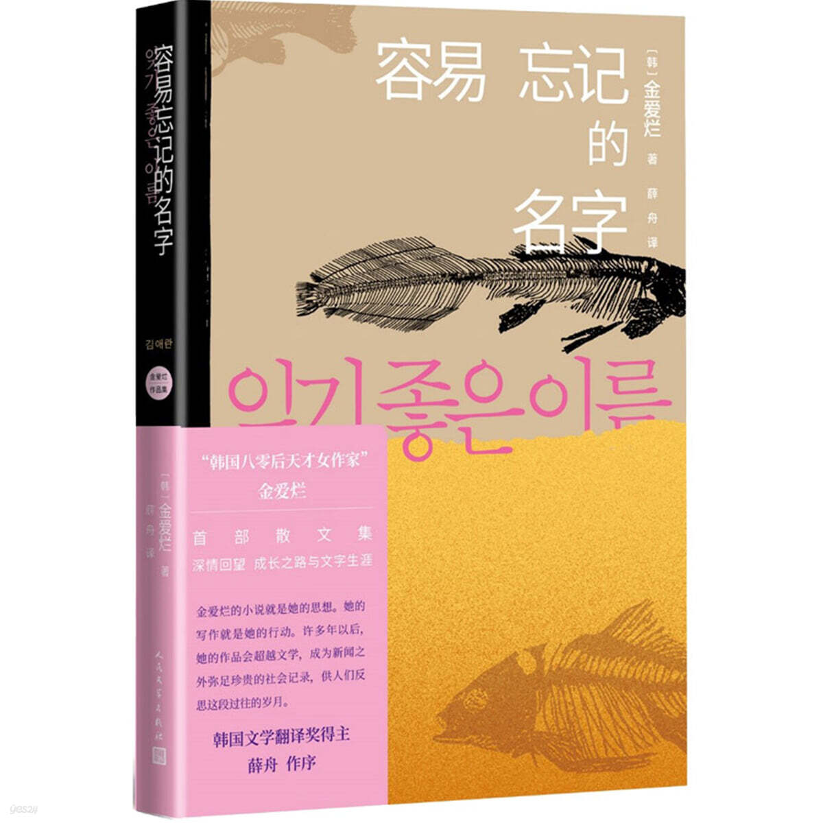 잊기좋은이름 (중문판) 容易忘記的名字（金愛爛作品集）용이망기적명자 (김애란작품집)
