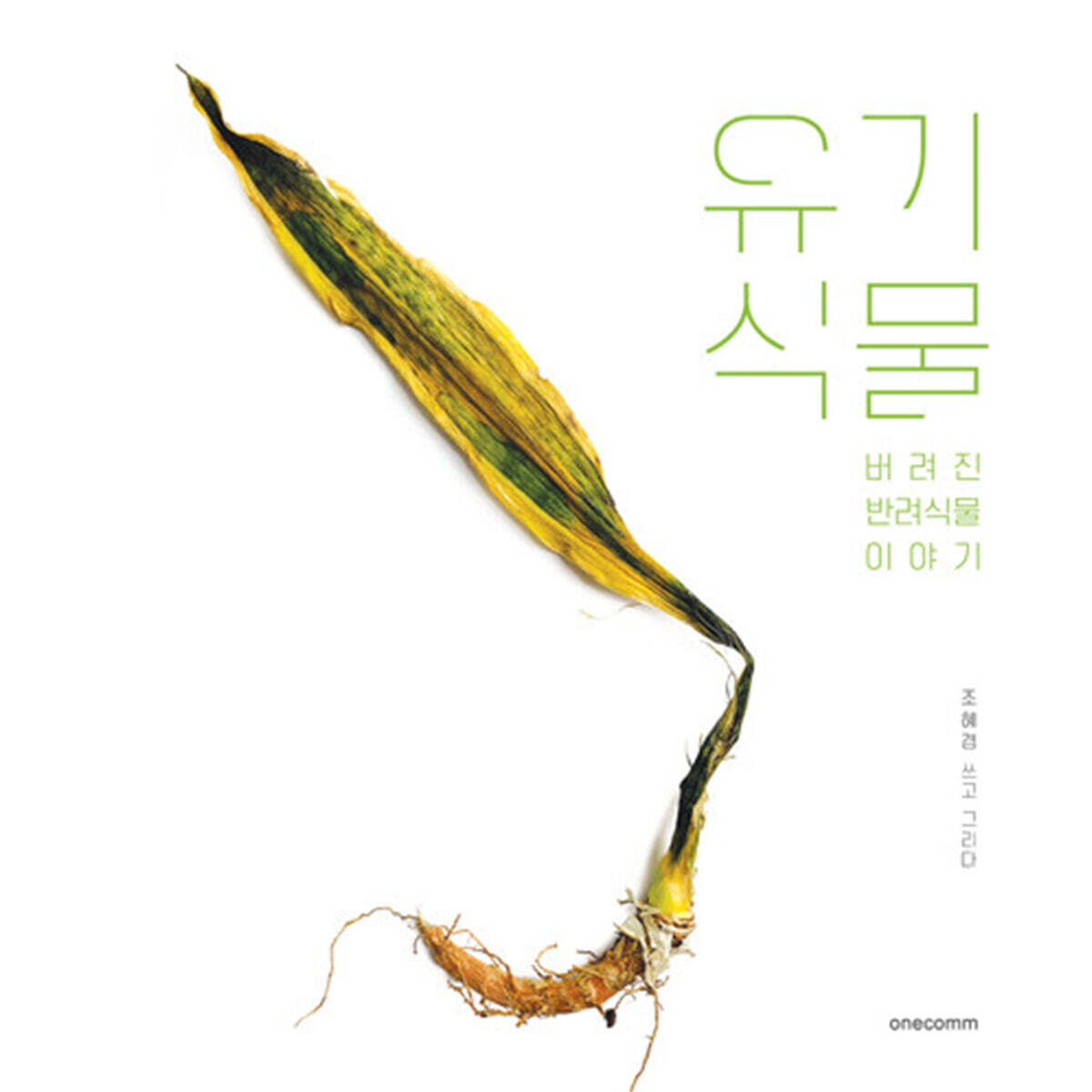 원컴(onecomm) 유기식물