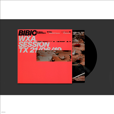 Bibio — WXAXRXP Session (워프 레코즈 30주년 기념앨범) 앨범 커버
