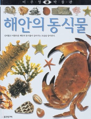해안의 동식물 (비주얼 박물관, 17)