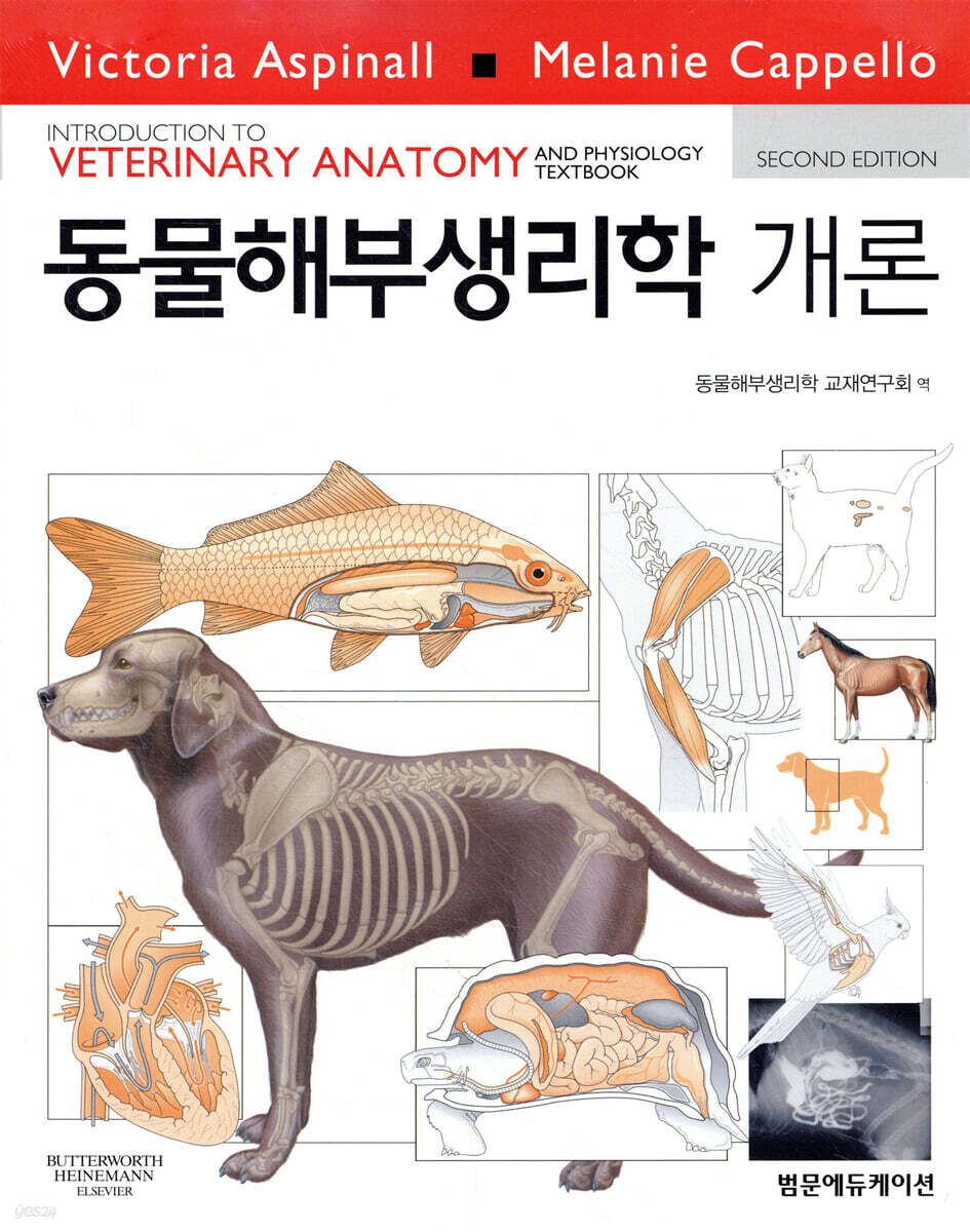 동물해부생리학 개론