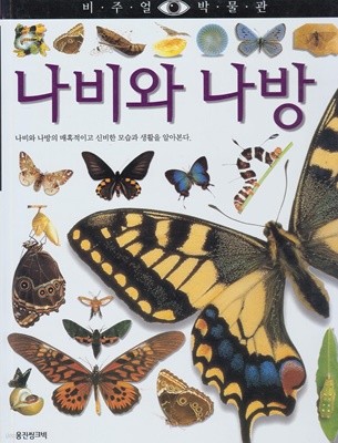 나비와 나방 (비주얼 박물관, 14)