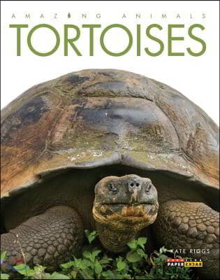 Amazing Animals: Tortoises