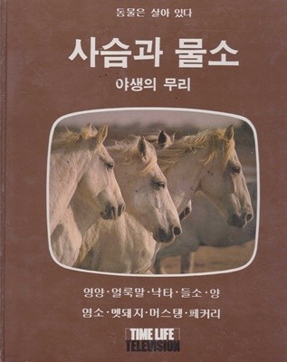 사슴과 물소 - 야생의 무리 (동물은 살아 있다) [수록 : 영양 / 얼룩말 / 낙타 / 들소 / 양 / 염소 / 멧돼지 / 머스탱 / 페커리]