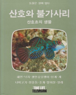 산호와 불가사리 - 산호초의 생물 (동물은 살아 있다) [수록 : 해면 / 낙지 / 갯민숭달팽이 / 성게 / 게 / 나비고기 / 청줄돔 / 조개 / 말미잘 / 벌레]