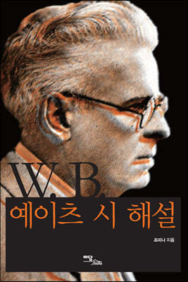 W.B. 예이츠시 해설 (큰글자도서)