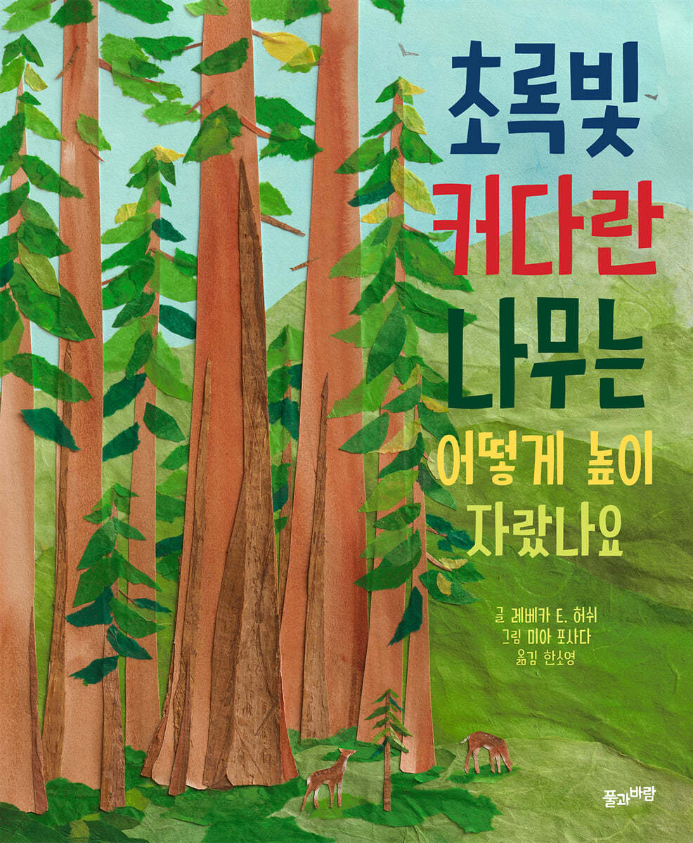 초록빛 커다란 나무는 어떻게 높이 자랐나요