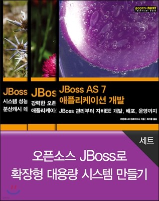 오픈소스 JBoss로 확장형 대용량 시스템 만들기 세트