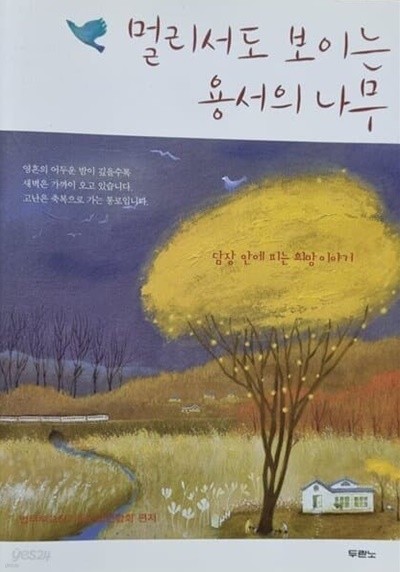 멀리서도 보이는 용서의 나무