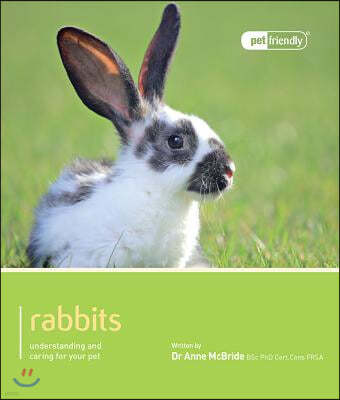 Rabbit - Pet Friendly