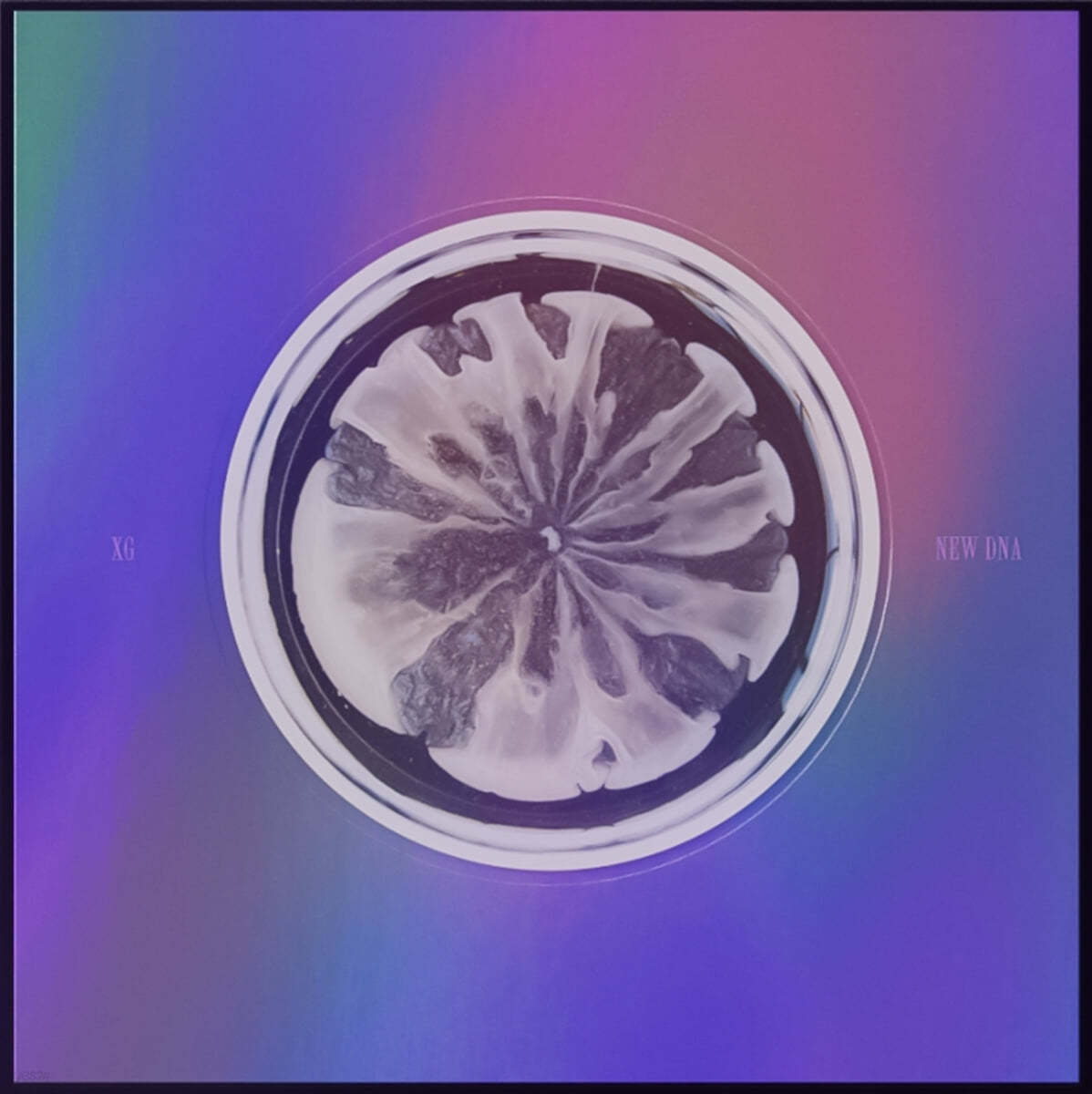XG (엑스지) - 1st mini ALBUM : NEW DNA [X VER.]