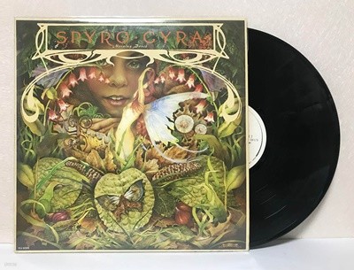 [LP] Spyro Gyra - Morning Dance
