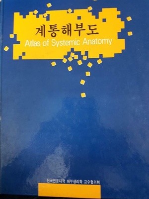 계통해부도