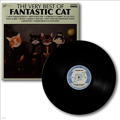 Fantastic Cat — The Very Best Of Fantstic Cat 앨범 커버