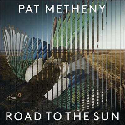 Pat Metheny ( ޽) - Road To The Sun [2LP]