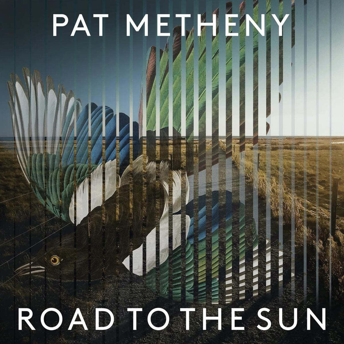 Pat Metheny (팻 메스니) - Road To The Sun [2LP]