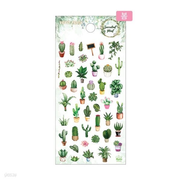[쁘띠] 스티커 SucculentPlant DA5482 (95x200mm다육식물)