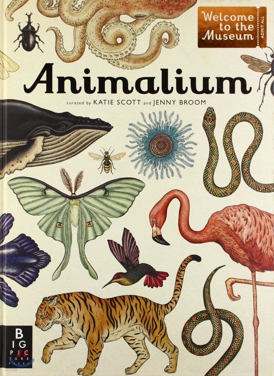 Animalium: Welcome to the Museum