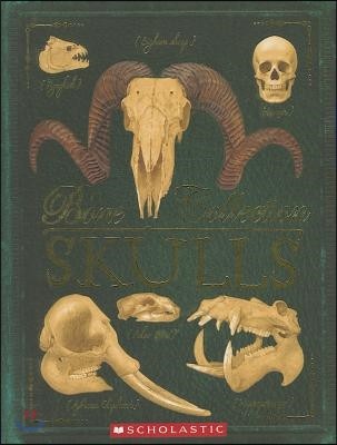 Bone Collection: Skulls