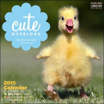 Cute Overload 2015 Calendar