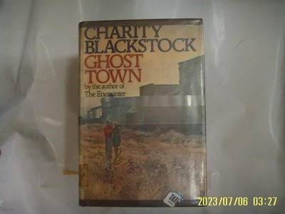 Charity Blackstock / COWARD McCANN GEOGHEGAN .. 외국판 / GHOST TOWN -사진.꼭상세란참조