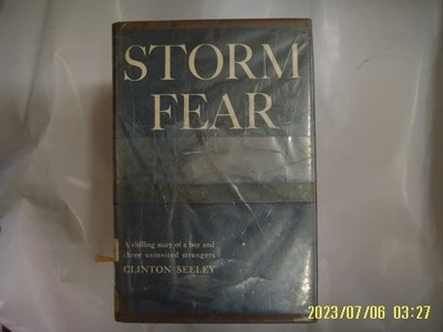 CLINTON SEELEY / Henry Holt and .. 외국판/ STORM FEAR A chilling story .. -사진.꼭상세란참조