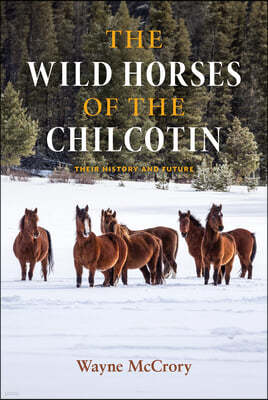 The Wild Horses of the Chilcotin: Their History and Future