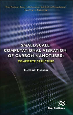 Small-scale Computational Vibration of Carbon Nanotubes: Composite Structure